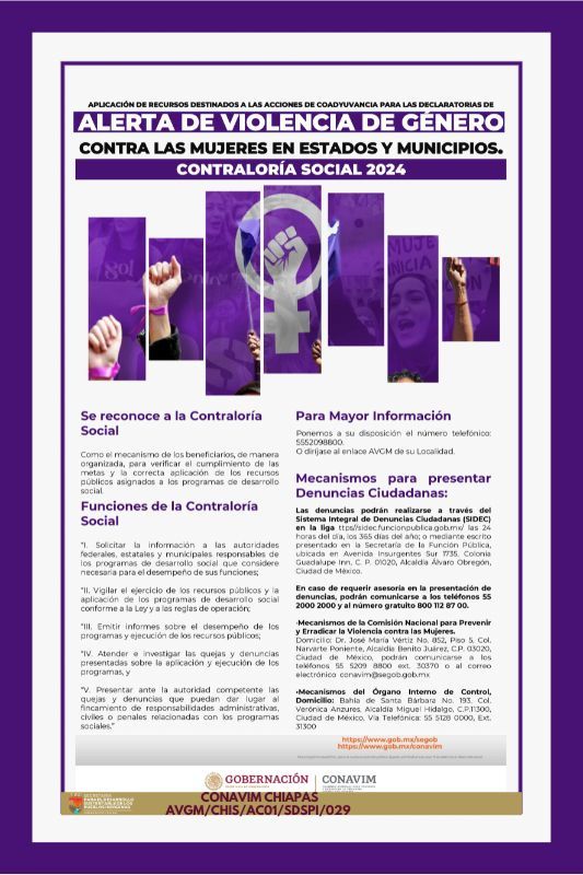 Cartel de Alerta de Violencia de Genero